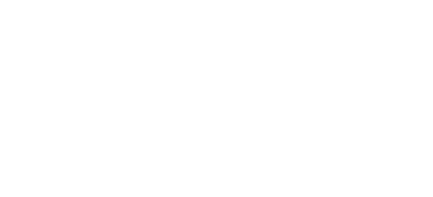 Leiner Logo